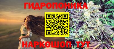 эйфоретик Волгодонск