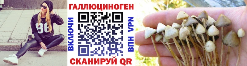 Галлюциногенные грибы GOLDEN TEACHER  блэк спрут tor  Волжский  цена  