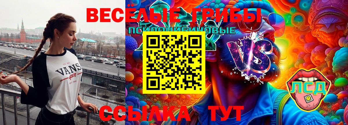 Волжский  Галлюциногенные грибы Cubensis  Псилоцибиновые грибы MAGIC MUSHROOMS  продажа наркотиков  Вход с VPN 